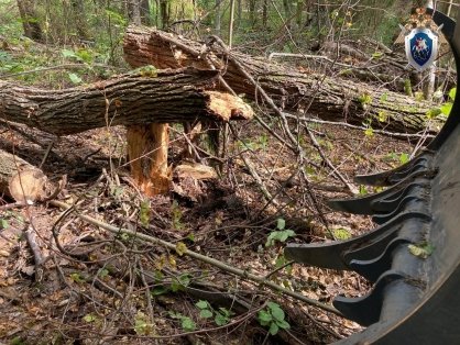 В Шатковском районе Нижегородской области по факту травмирования рабочего возбуждено уголовное дело